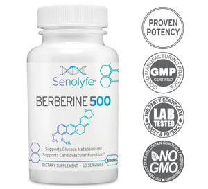 Berberine 500 | 500mg 97% Pure Berberine